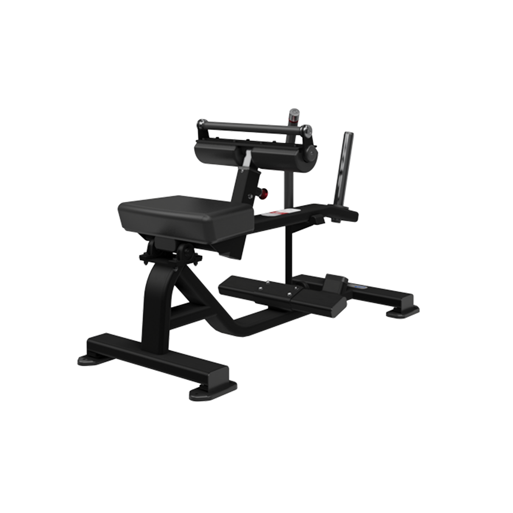 Plate Loaded Calf Versatility