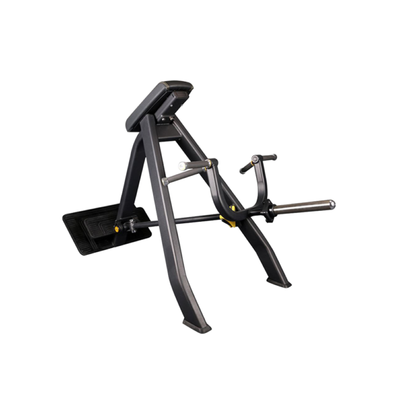 "T" Bar Rower Versatility