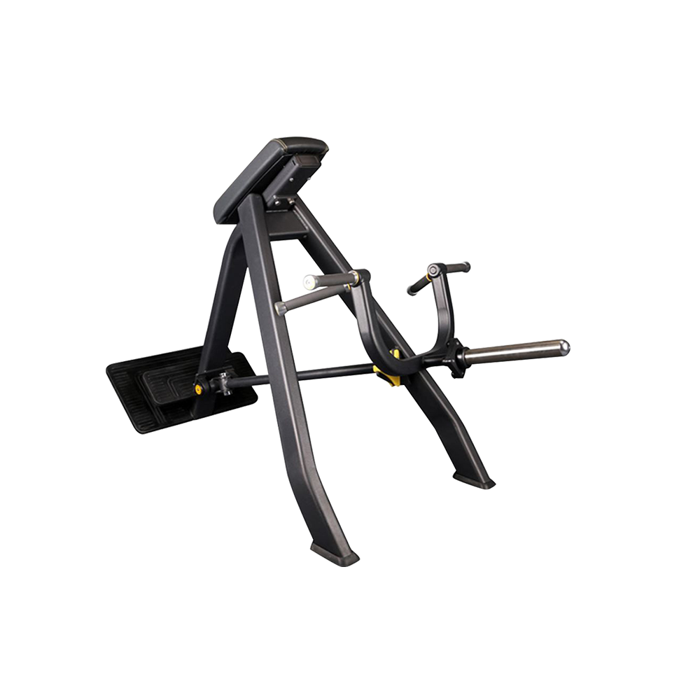 "T" Bar Rower Versatility