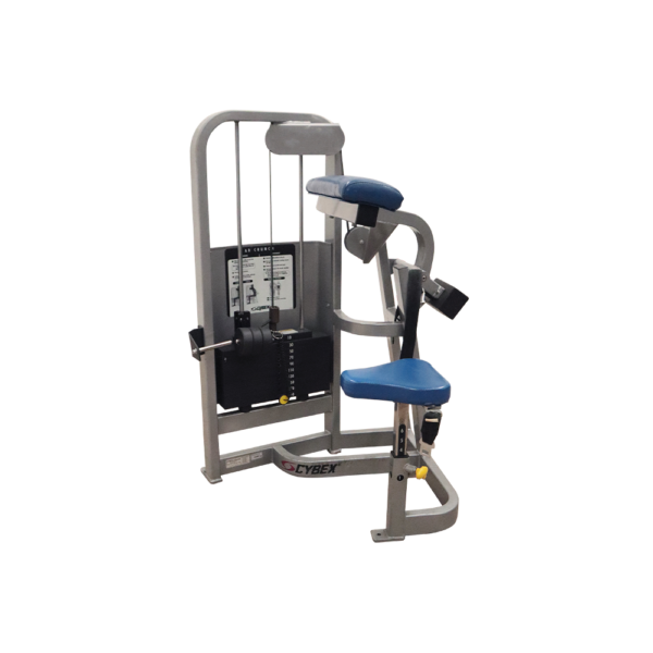 Abdominal VR2 Cybex