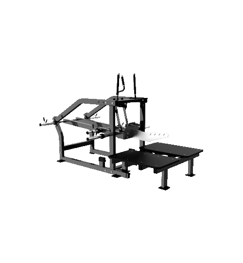 Belt Squat Apex