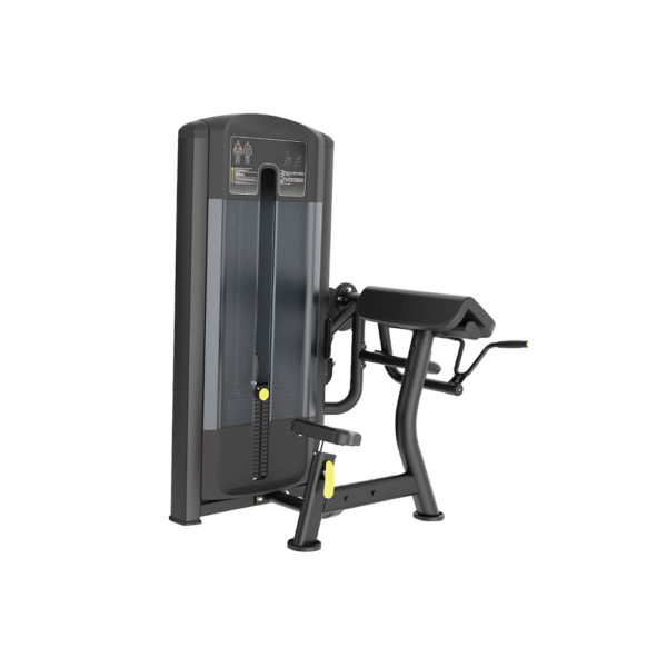 Bicep Curl Apex