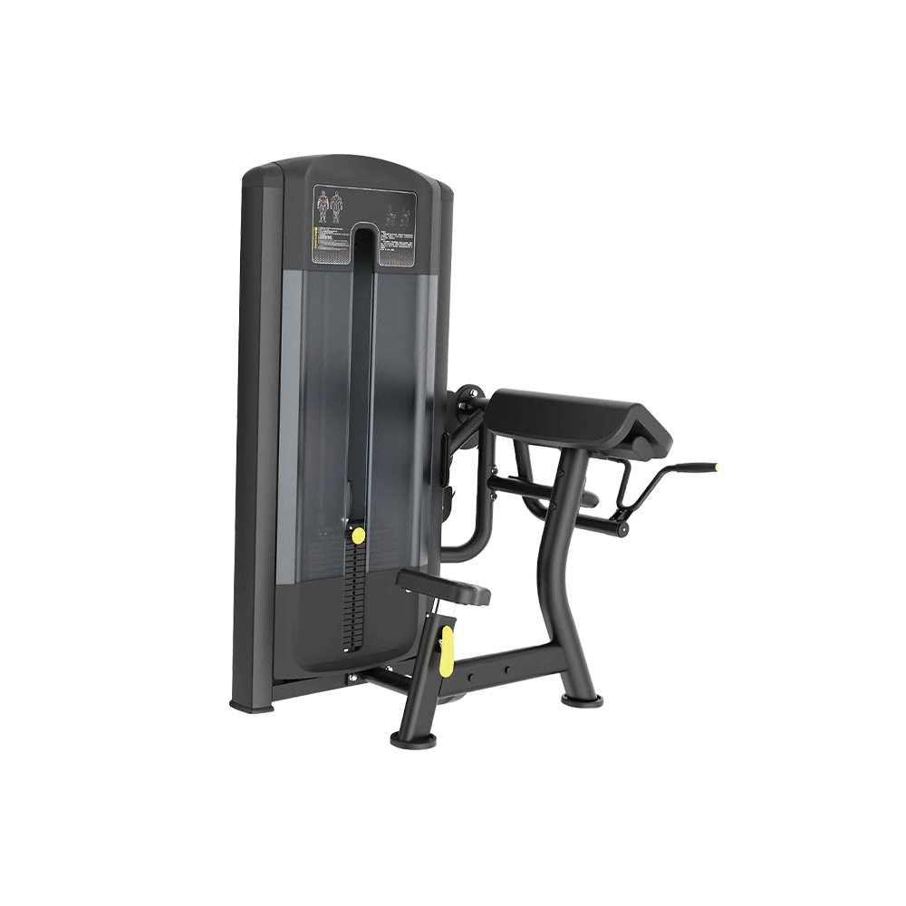 Bicep Curl Apex