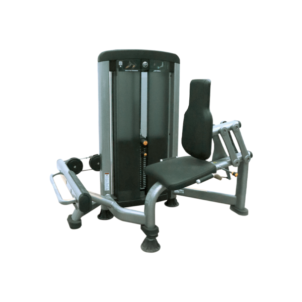 Calf Extension Life Fitness