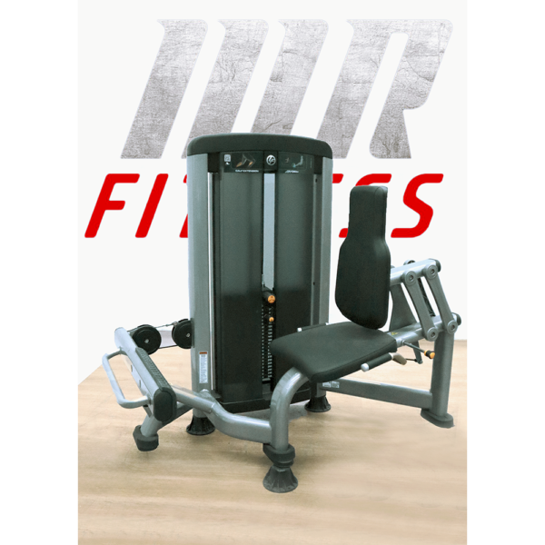 Calf Extension Life Fitness