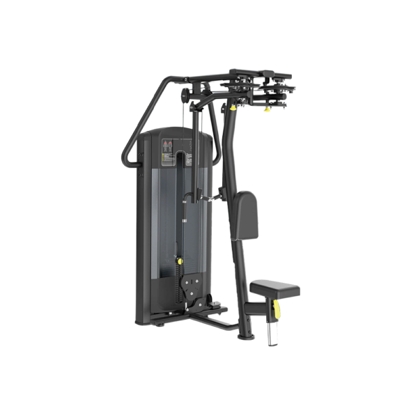 Pec Fly/Rear Delt Apex