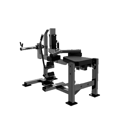 Seated Calf Apex