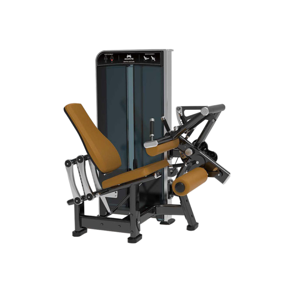 Seated Leg Curl Apex