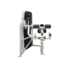 Seated Arm Curl Cybex
