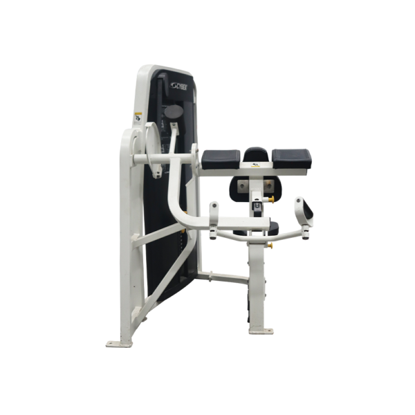 Seated Arm Curl Cybex