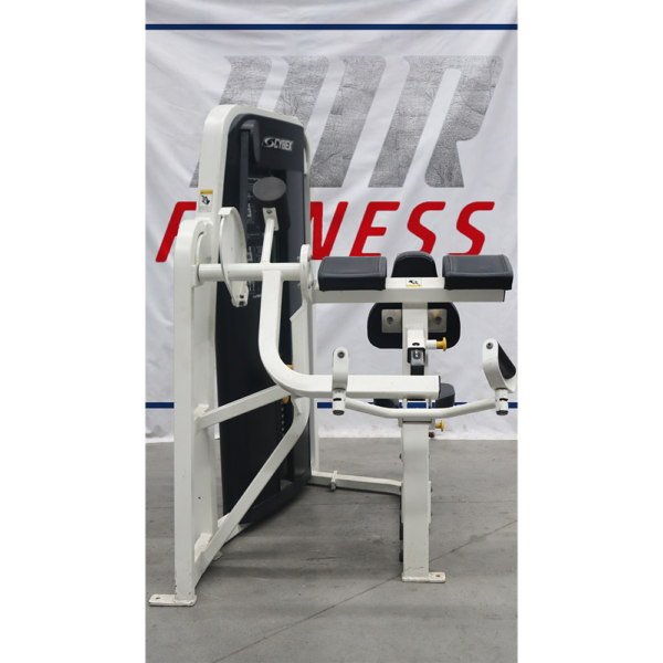 Seated Arm Curl Cybex