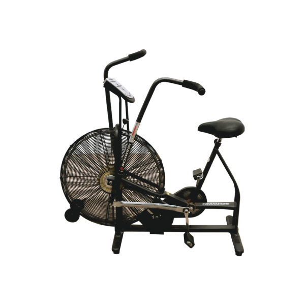 Air Bike Schwinn