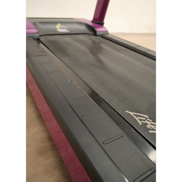 Caminadora Integrity Plus Life Fitness