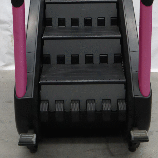 Escalera Integrity Plus Life Fitness