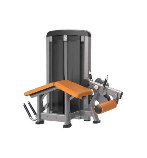 Horizontal Leg Curl Apex