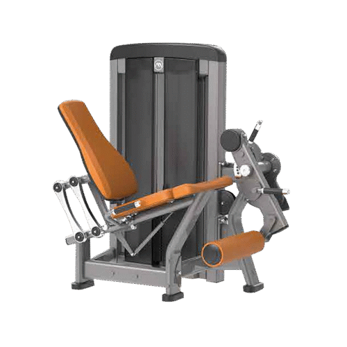 Leg Extension Apex