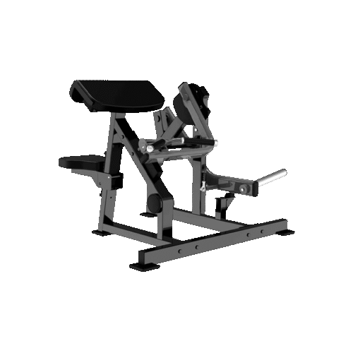 Seated Bicep Apex