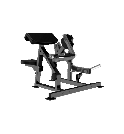 Seated Bicep Apex