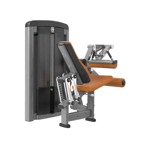 Seated Leg Curl Apex