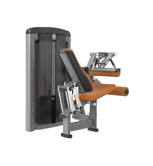 Seated Leg Curl Apex