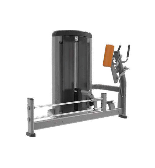 Standing Leg Extension Apex