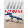 Banca Abdominal LifeFitness