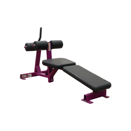 Banca Declinada Hammer Strength