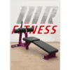 Banca Declinada Hammer Strength